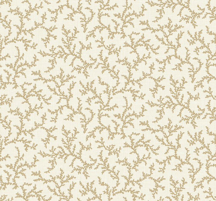 Corail Driftwood FC62106 by Seabrook Designs Designer Wallpaper