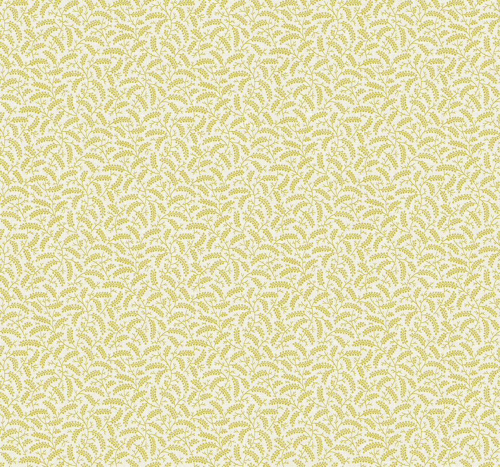 Cossette Dandelion FC62203 by Seabrook Designs Designer Wallpaper