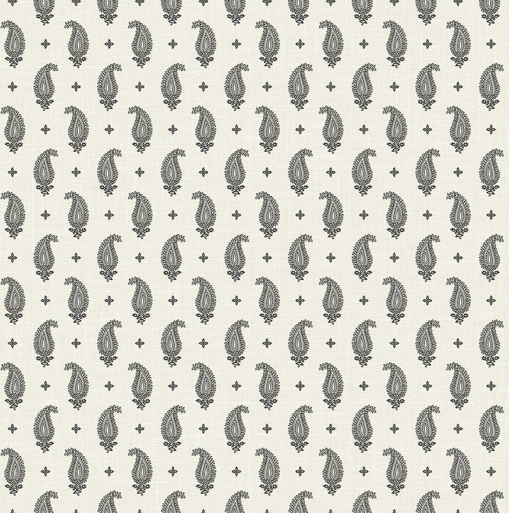 Maia Paisley Poppy Seed FC62400 by Seabrook Designs Designer Wallpaper