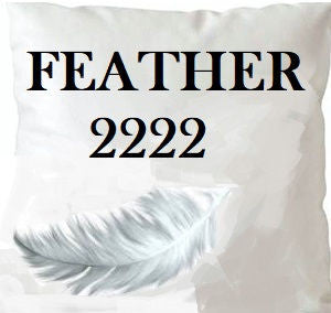 Norbar Fabric Feather 2222 Insert 22X22
