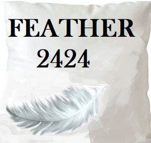 Norbar Fabric Feather 2424 Insert 24X24