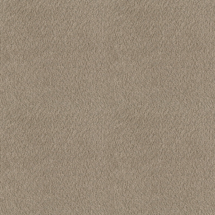 Felicity 62 Fawn by ABBEYSHEA Designer Fabric 100% Polyester CN 160,000 Double Rubs (Wyzenbeek) </p><p>Repeat: Horizontal: and Vertical: 55 in. (140 cm) - Swanky Fabrics -