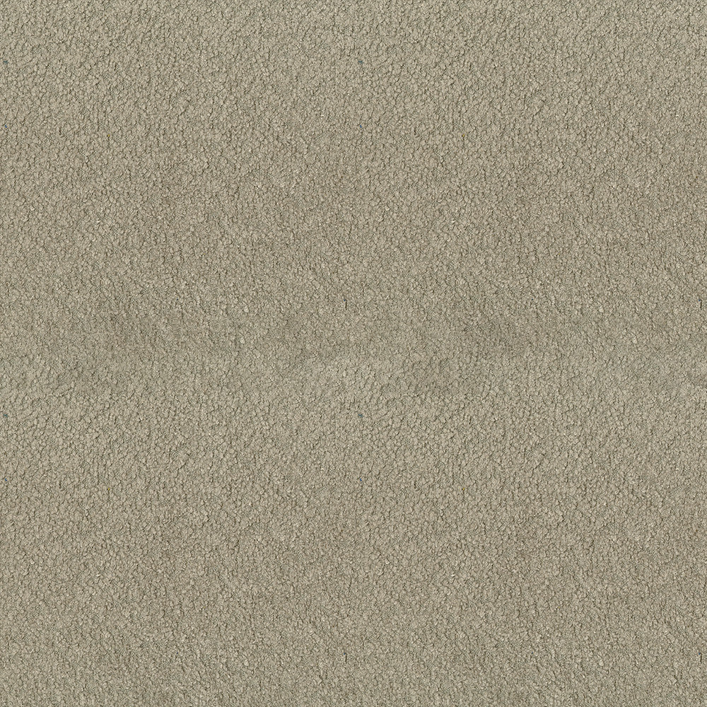 Felicity 64 Putty by ABBEYSHEA Designer Fabric 100% Polyester CN 160,000 Double Rubs (Wyzenbeek) </p><p>Repeat: Horizontal: and Vertical: 55 in. (140 cm) - Swanky Fabrics -