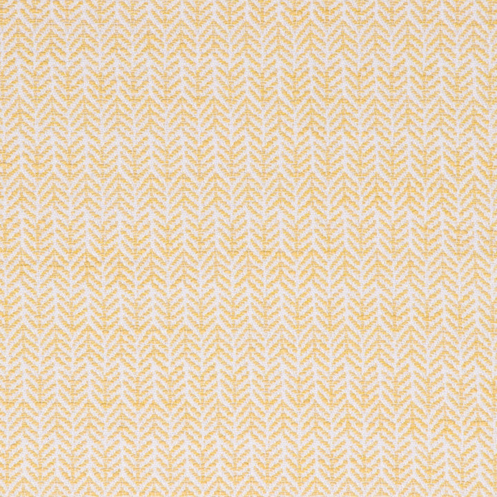 Festoon Lemon by Bella-Dura Designer Fabric  100% HIGH UV POLYESTER USA 80,000 H: .75" V: 2" 56.25"  - Swanky Fabrics -