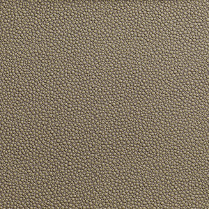 Kravet Fabric Fetch Hemp