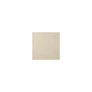 Kravet Fabric Fetch Champagne
