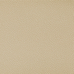 Kravet Fabric Fetch Sandbar