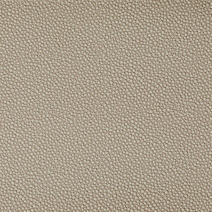 Kravet Fabric Fetch Stone