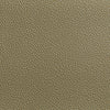 Kravet Fabric Fetch Radiant