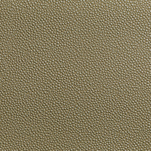 Kravet Fabric Fetch Radiant
