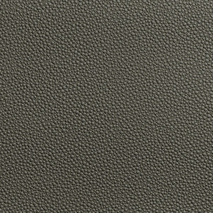 Kravet Fabric Fetch Granite