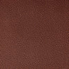 Kravet Fabric Fetch Lava