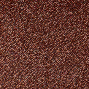 Kravet Fabric Fetch Lava