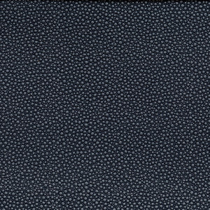Kravet Fabric Fetch Starlight