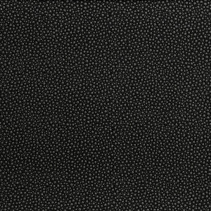 Kravet Fabric Fetch Stargazer