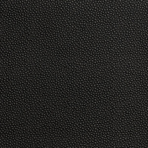 Kravet Fabric Fetch Stallion