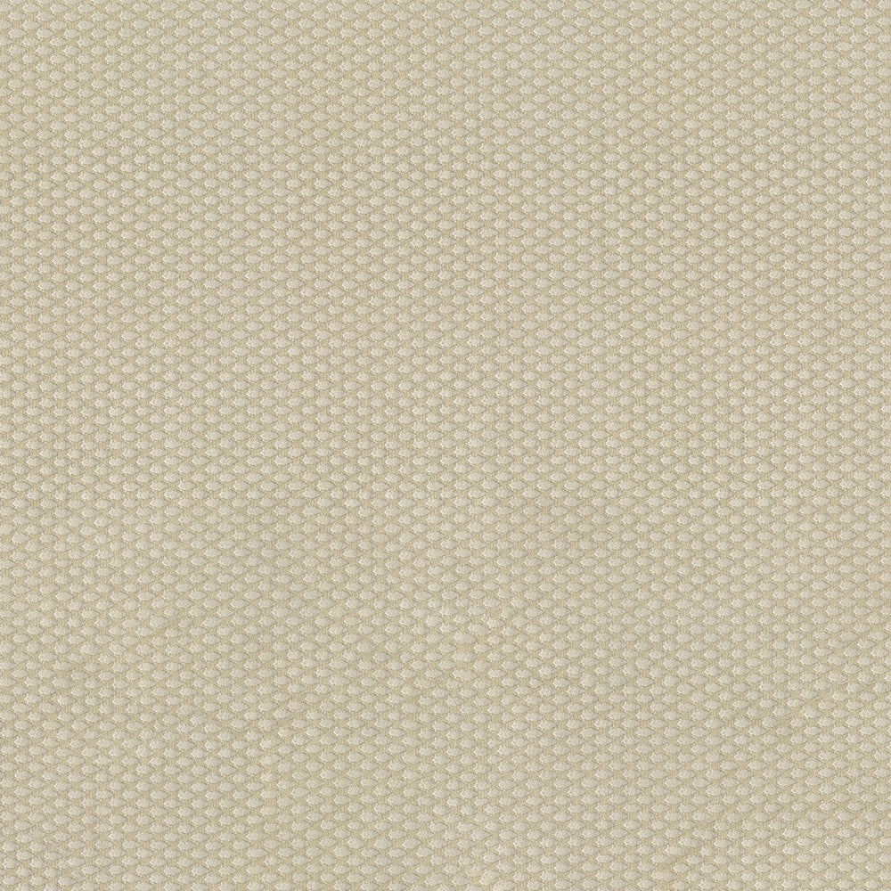 Fiera 61 Ecru by ABBEYSHEA Designer Fabric 100% Polyester CN 20,000 Double Rubs (Wyzenbeek) </p><p>Repeat: Horizontal: and Vertical: 56 in. (142 cm) - Swanky Fabrics -