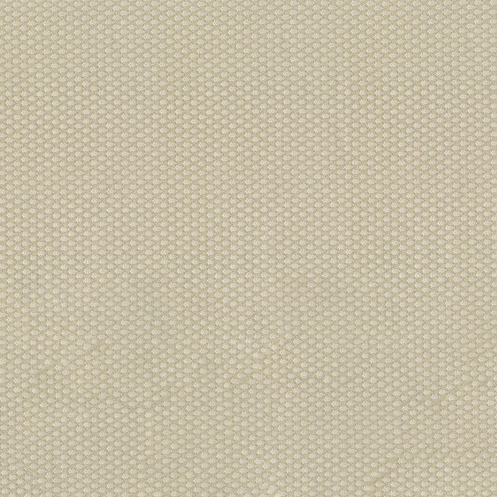 Fiera 61 Ecru by ABBEYSHEA Designer Fabric 100% Polyester CN 20,000 Double Rubs (Wyzenbeek) </p><p>Repeat: Horizontal: and Vertical: 56 in. (142 cm) - Swanky Fabrics -
