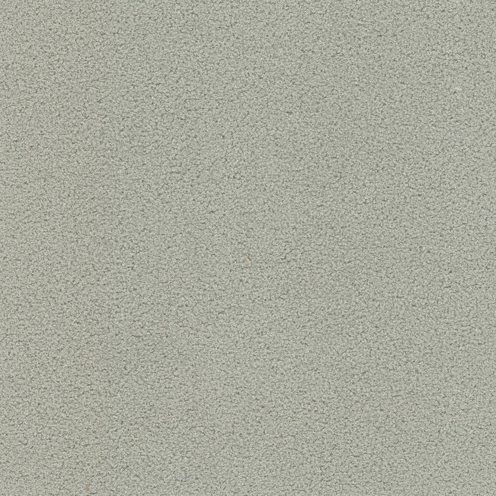 Finnerty 1 Grey by Stout Designer Fabric LIVING IS EASY GREY/SLATE 100%POL INDONESIA FLAME RETARDANT-U.F.A.C. CLASS 1 CATB 117-2013 WYZENBEEK 48 000 DOUBLE RUB WEAR TEST (HEAVY DUTY) Horizontal: 0.000 and Vertical: 0.000 54 in - Swanky Fabrics -