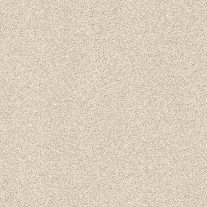 Finnerty 2 Ecru by Stout Designer Fabric CLOUD NINE 100%POL INDONESIA Horizontal: 0.000 and Vertical: 0.000 54 in - Swanky Fabrics -