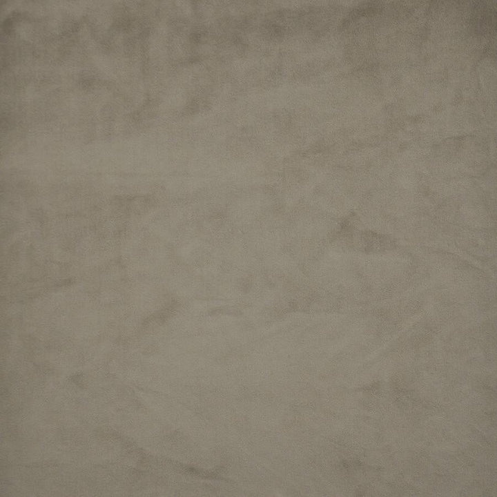 Firenze # 517 Chinchilla by Maxwell Designer Fabric Performance Velvets-Vol.Ii 100% POLYESTER TURKEY 55" - Swanky Fabrics -