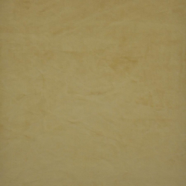 Firenze # 520 Butterscotch by Maxwell Designer Fabric Performance Velvets-Vol.Ii 100% POLYESTER TURKEY 55" - Swanky Fabrics -