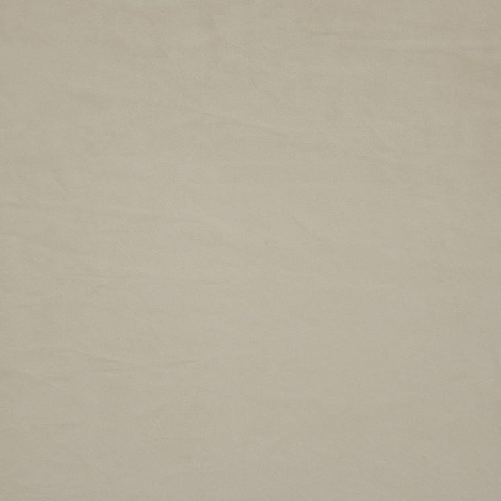 Firenze # 522 Ecru by Maxwell Designer Fabric Performance Velvets-Vol.Ii 100% POLYESTER TURKEY 55" - Swanky Fabrics -