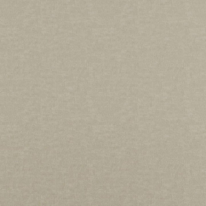 Fidelio # 712 Oatmeal by Maxwell Designer Fabric Curled Up Vii 100% POLYESTER CHINA 55" - Swanky Fabrics -