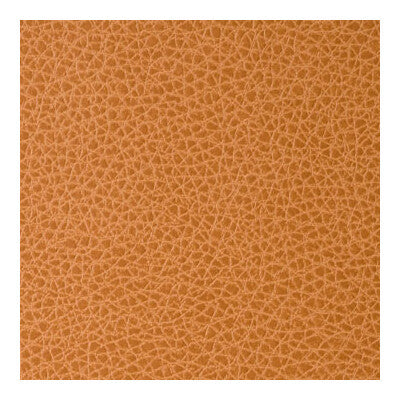 Kravet Contract - Upholstery - FOOTHILL.12.0 - Upholstery - POLYCARBONATE - 100% - China </p><p>Repeat: H: , V: 27.5 21 - My Fabric Connection -