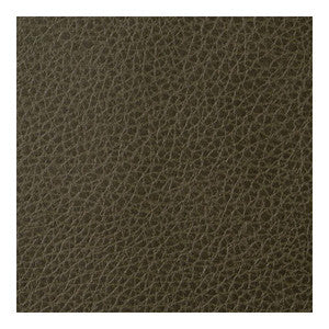 Kravet Fabric Foothill Tortoise FOOTHILL.33.0