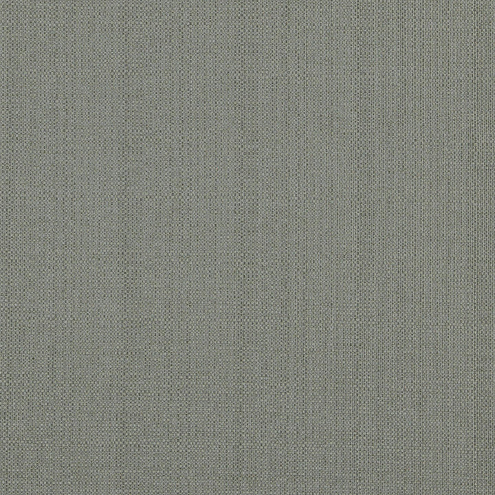 Force 96J6891 by JF Designer Fabric Winning Weaves IV 94% Polyester, 6% Cotton China 70000 Horizontal: and Vertical: 55 - Swanky Fabrics -