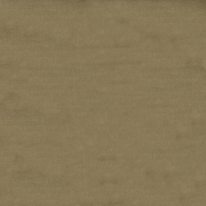 Benjamin 67 Fawn by ABBEYSHEA Designer Fabric 100% Polyester China 235,000 Double Rubs (Wyzenbeek) </p><p>Repeat: Horizontal: and Vertical: 56" (142 cm) - Swanky Fabrics -