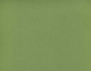 Norbar Fabric Frenzy Apple 337