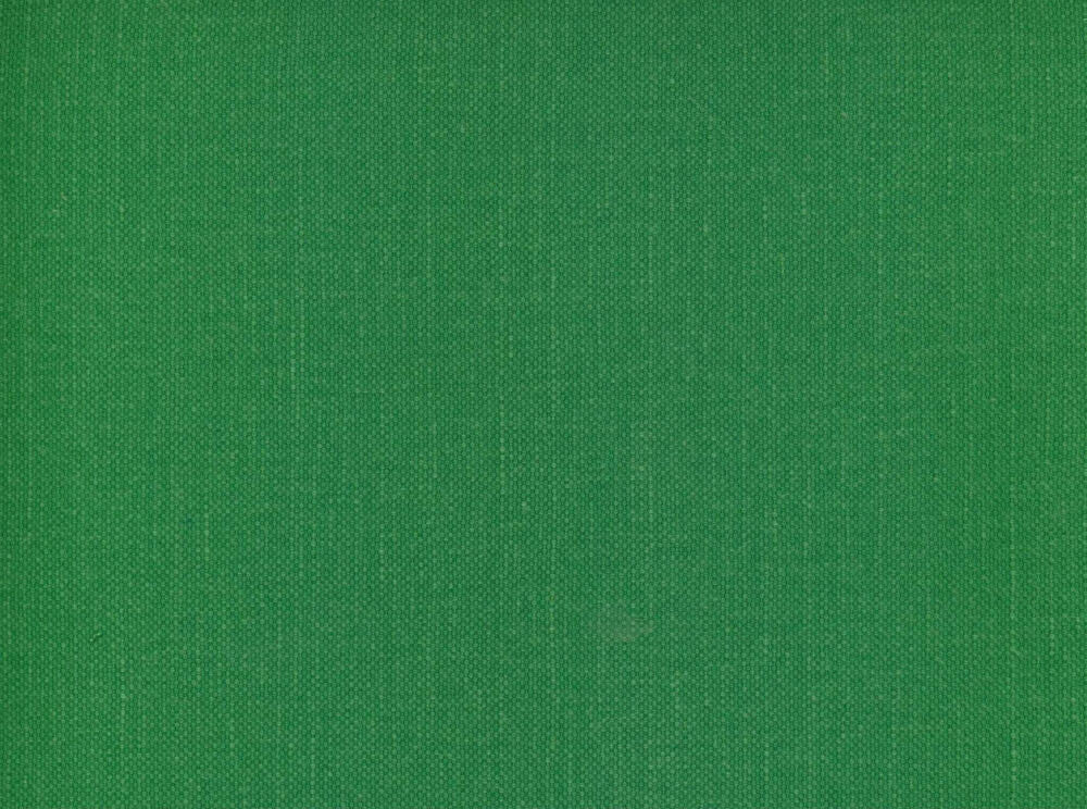 Frenzy Grass 321 by Norbar Designer Fabric FRENZY 60% COTTON 40% LINEN INDIA 54 - Swanky Fabrics -