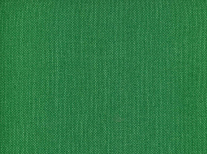 Frenzy Grass 321 by Norbar Designer Fabric FRENZY 60% COTTON 40% LINEN INDIA 54 - Swanky Fabrics -