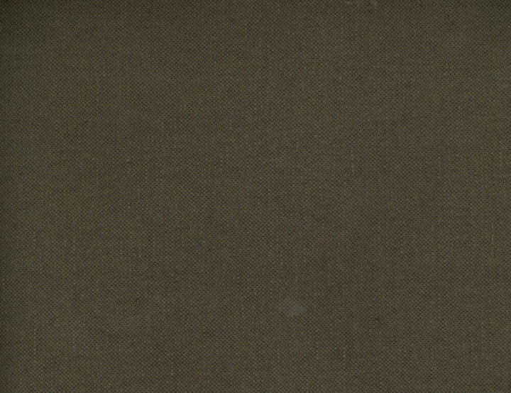 Frenzy Java 875 by Norbar Designer Fabric FRENZY 60% COTTON 40% LINEN INDIA 54 - Swanky Fabrics -
