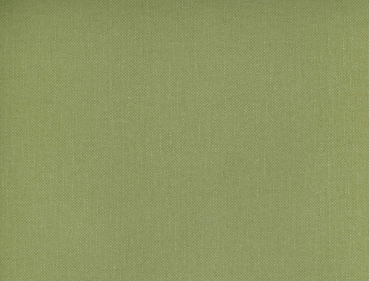 Frenzy Lichen 349 by Norbar Designer Fabric FRENZY 60% COTTON 40% LINEN INDIA 54 - Swanky Fabrics -