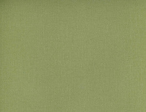 Norbar Fabric Frenzy Lichen 349
