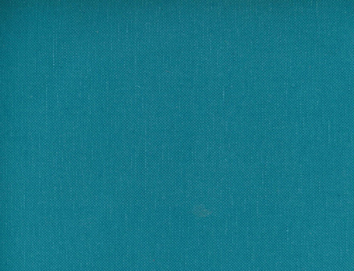 Frenzy Pacific 497 by Norbar Designer Fabric FRENZY 60% COTTON 40% LINEN INDIA 54 - Swanky Fabrics -