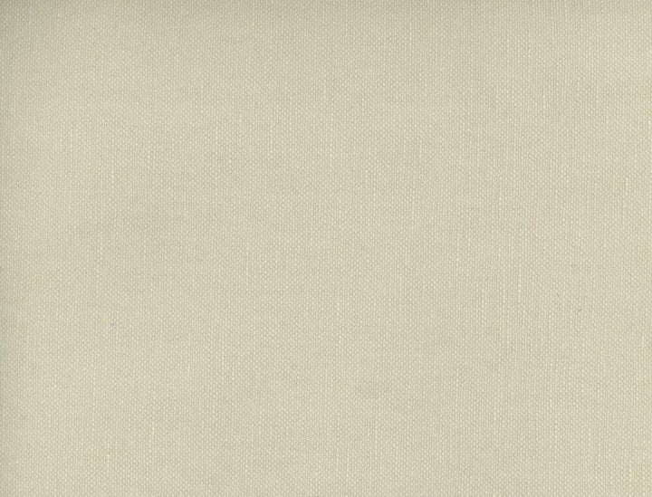 Frenzy Putty 205 by Norbar Designer Fabric FRENZY 60% COTTON 40% LINEN INDIA 54 - Swanky Fabrics -