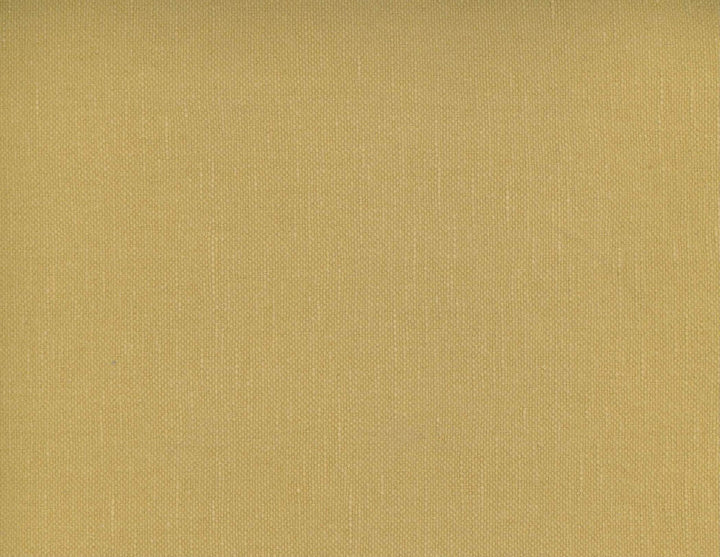 Frenzy Raffia 123 by Norbar Designer Fabric FRENZY 60% COTTON 40% LINEN INDIA 54 - Swanky Fabrics -
