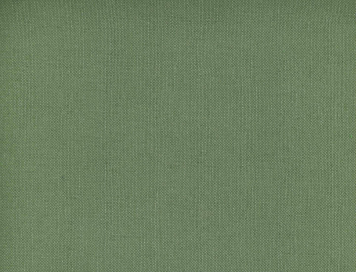 Frenzy Sage 316 by Norbar Designer Fabric FRENZY 60% COTTON 40% LINEN INDIA 54 - Swanky Fabrics -