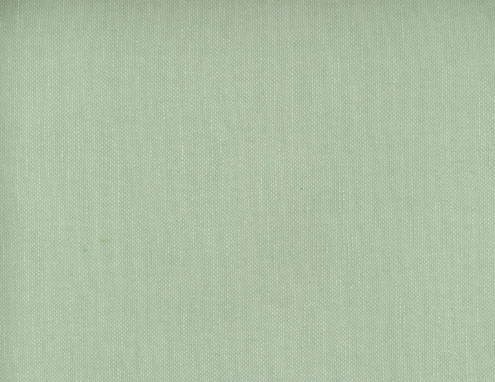 Frenzy Silver Pine 395 by Norbar Designer Fabric FRENZY 60% COTTON 40% LINEN INDIA 54 - Swanky Fabrics -
