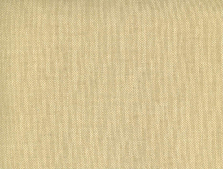 Frenzy Tahini 114 by Norbar Designer Fabric FRENZY 60% COTTON 40% LINEN INDIA 54 - Swanky Fabrics -
