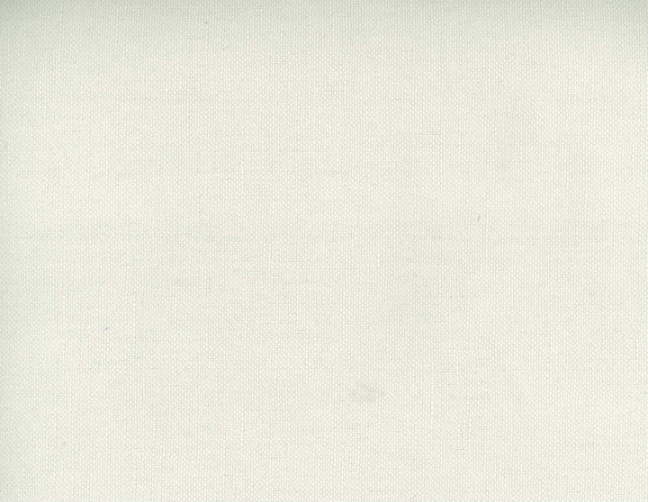 Frenzy Talc 022 by Norbar Designer Fabric FRENZY 60% COTTON 40% LINEN INDIA 54 - Swanky Fabrics -