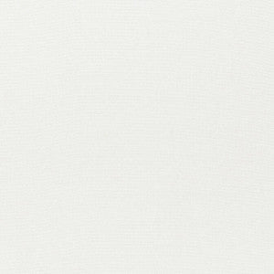 Thibaut Fabric Skye Linen Ivory FWW7603