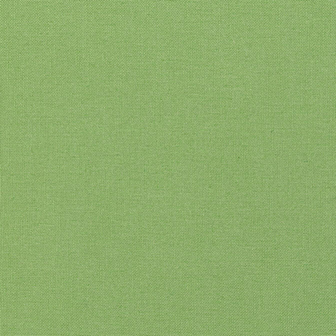 Palisade Linen Grass FWW7653 by Thibaut Fabric Thibaut Fabric Palisade Linen Grass FWW7653Fabric Palisades 75% Polyester, 25% Linen TURKEY </p><p>Repeat: V: - 116 - Fabric Carolina -