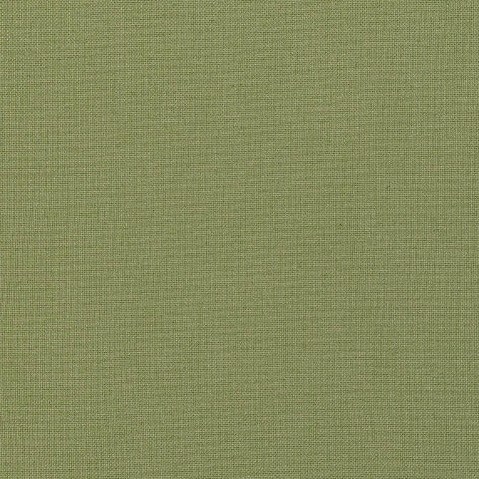 Palisade Linen Olive FWW7657 by Thibaut Fabric Thibaut Fabric Palisade Linen Olive FWW7657Fabric Palisades 75% Polyester, 25% Linen TURKEY </p><p>Repeat: V: - 116 - Fabric Carolina -