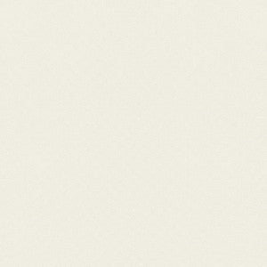 Thibaut Fabric Asher Salt FWW81724