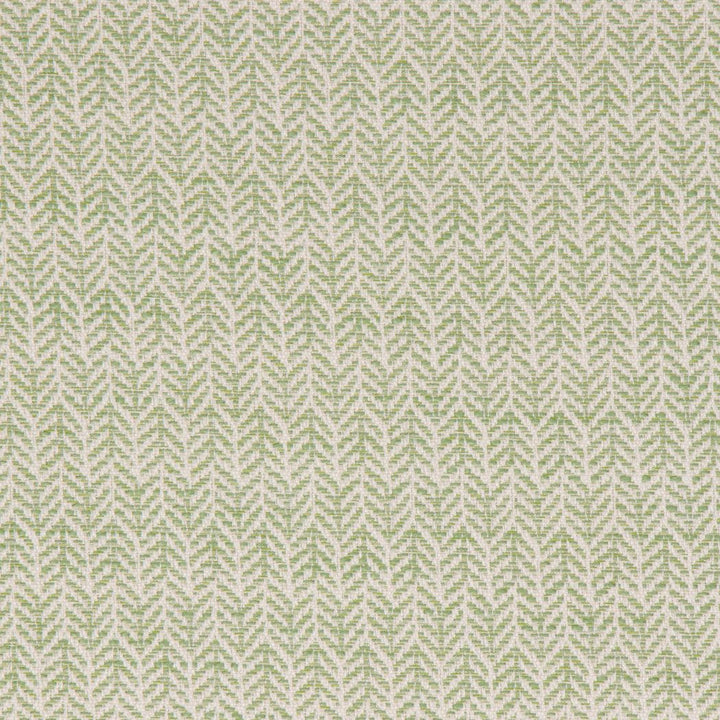 Festoon Lime by Bella-Dura Designer Fabric  100% HIGH UV POLYESTER USA 80,000 H: .75" V: 2" 56.25"  - Swanky Fabrics -
